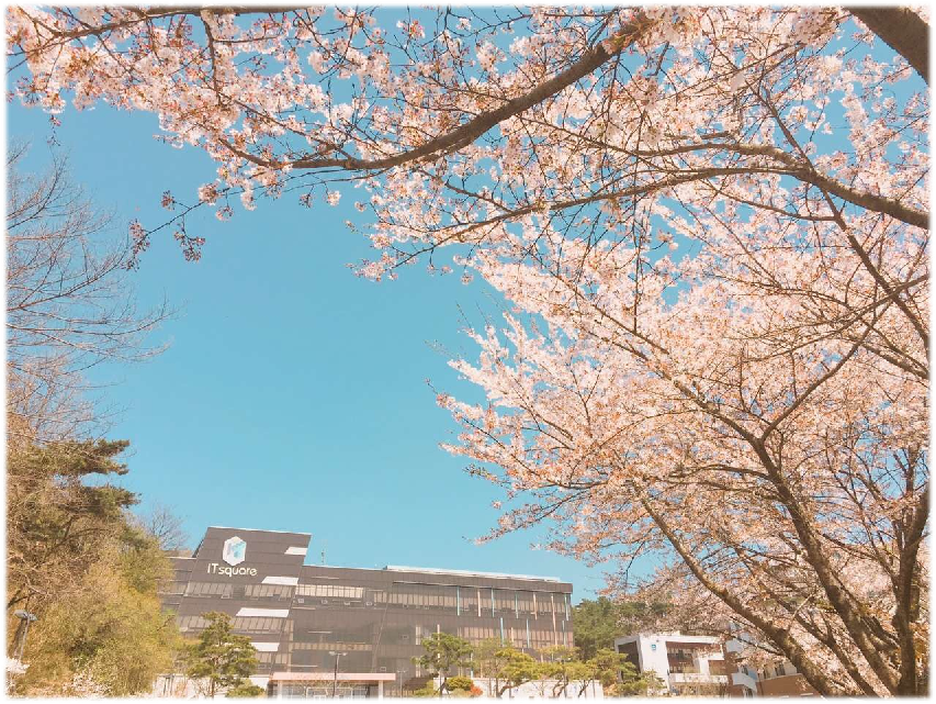 韓國白石大學2